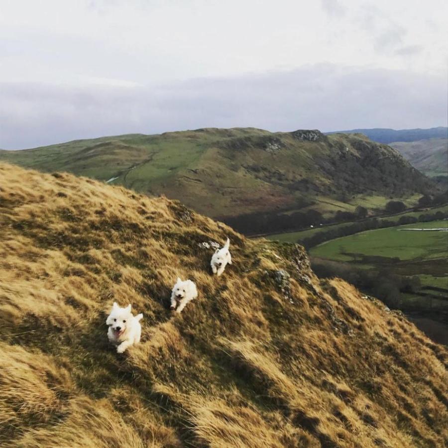 Doonans Cottage Maybole エクステリア 写真